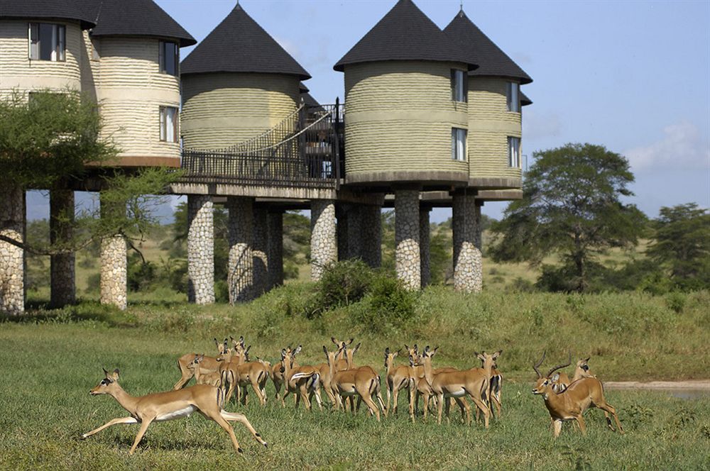 Taita Hills
