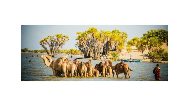 The Cradle of Mankind: Discovering Kenya's Turkana Heritage